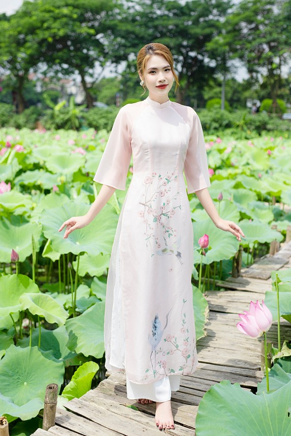  Áo dài Hạ Chi 